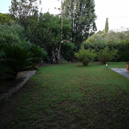 Dell' Orcio